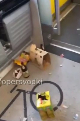 Привыкайте к свинству. Для них это норма